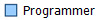 Programmer